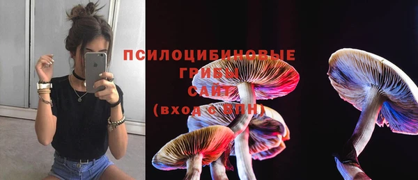 герыч Белокуриха