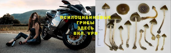 ECSTASY Белоозёрский