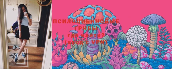 ECSTASY Белоозёрский